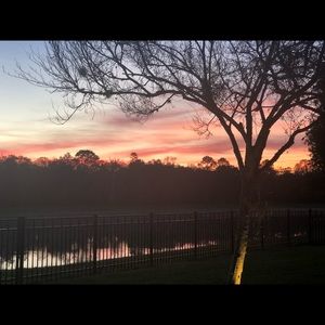 Meet your Posher, Ali